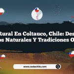 Vida Rural en Coltauco, Chile: Descubre Tesoros Naturales y Tradiciones Ocultas